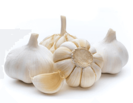 Bawang Putih