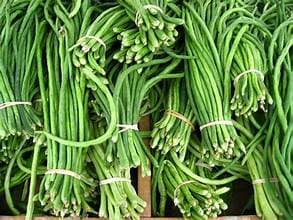 KACANG PANJANG