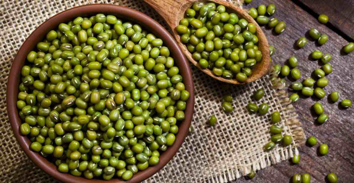 KACANG HIJAU